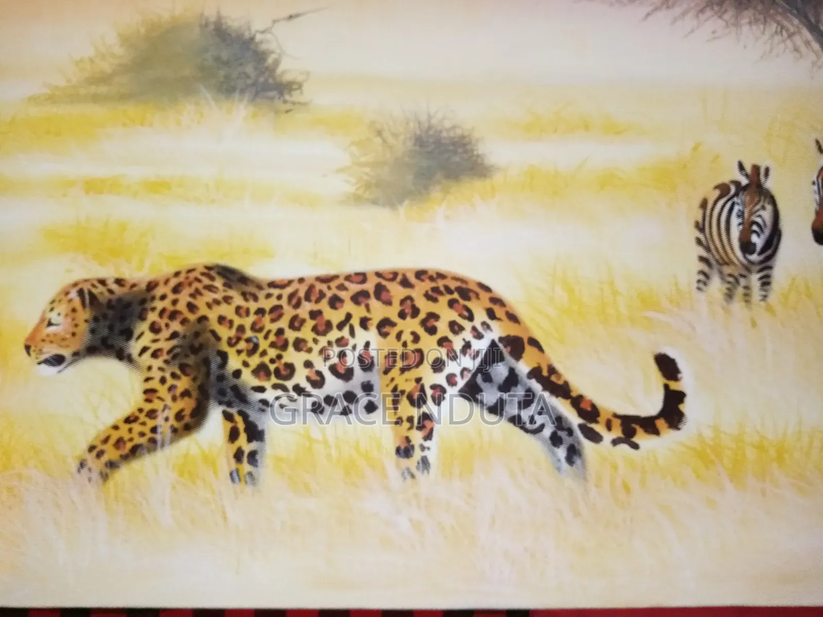 Wildlife, Landscapes and Portraits