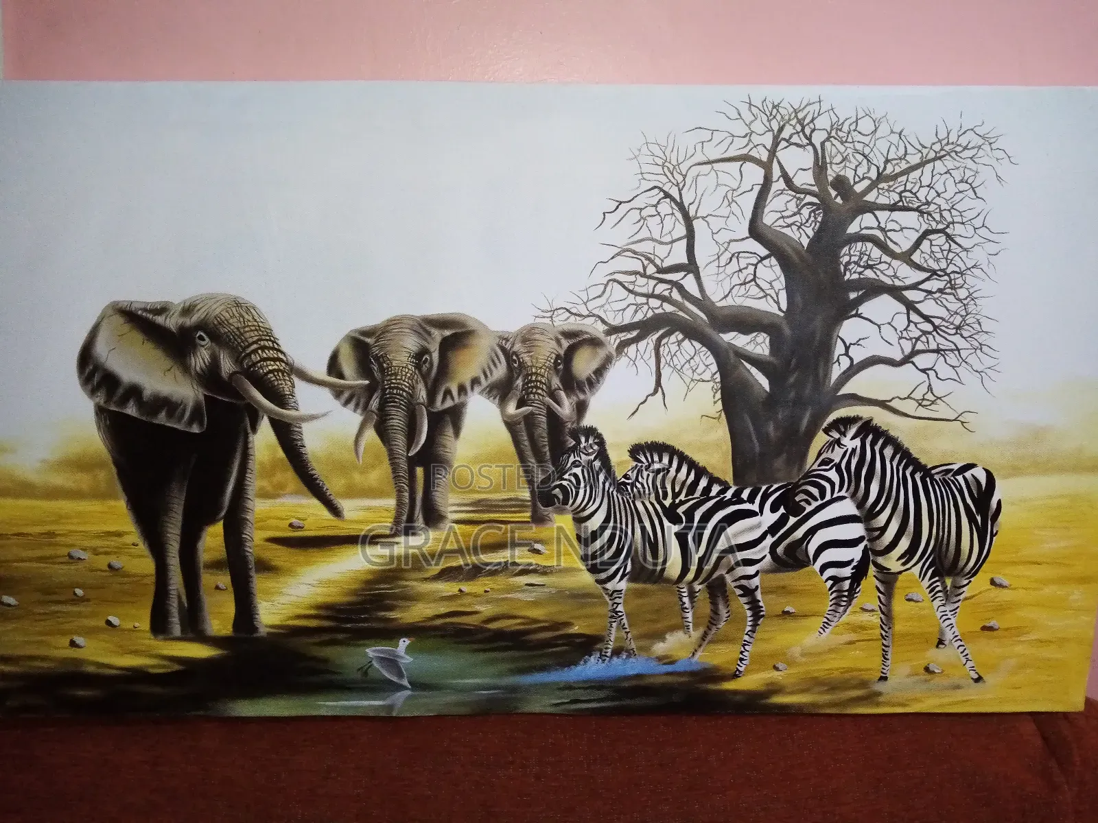 Wildlife, Landscapes and Portraits