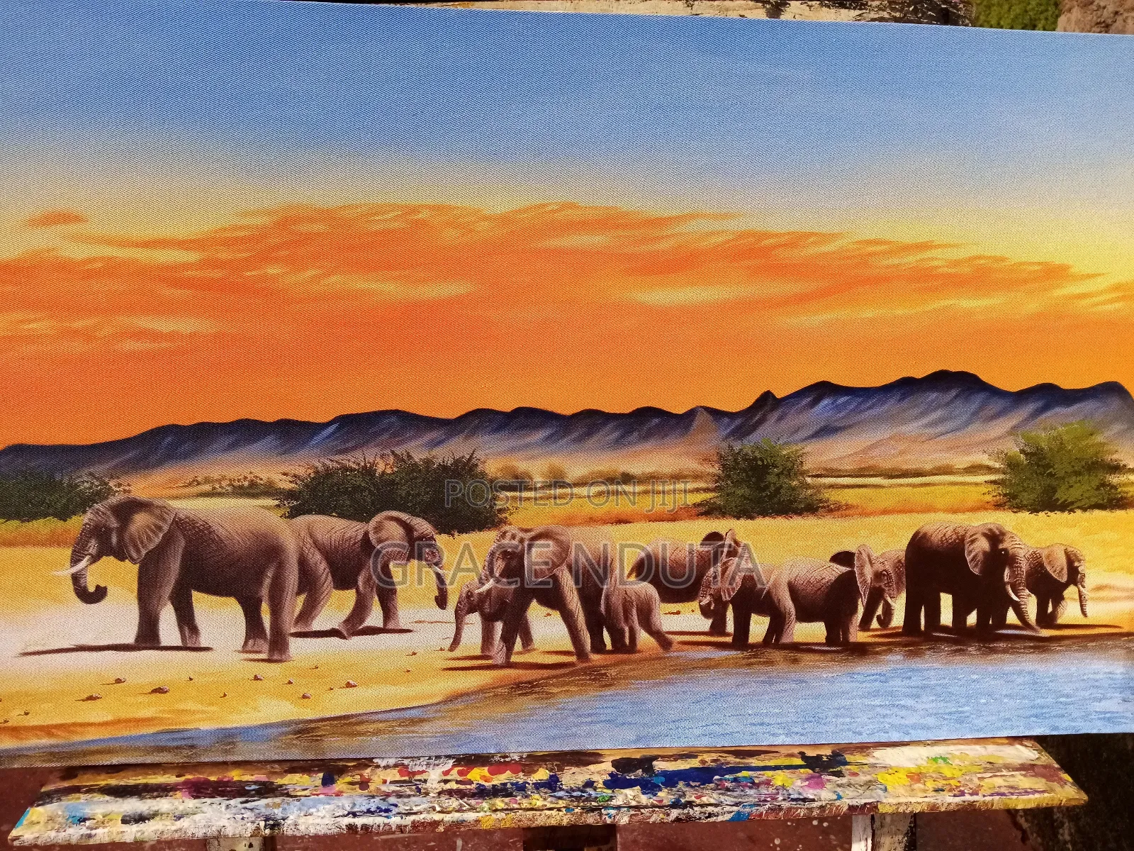 Wildlife, Landscapes and Portraits