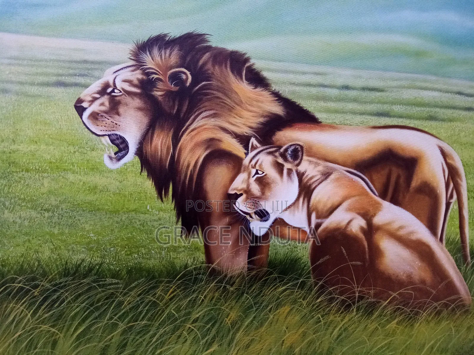 Wildlife, Landscapes and Portraits