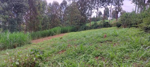 Land for Sale in Njiku 3km From Banana Town