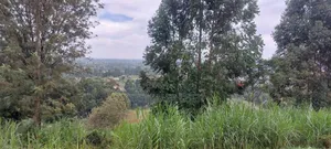 Land for Sale in Njiku 3km From Banana Town