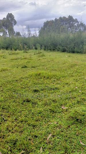 Eldoret Ngeria 1⁄8 Acre Plot on a Sale - thumbnail 2