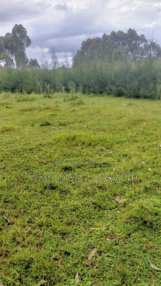 Eldoret Ngeria 1⁄8 Acre Plot on a Sale - main view