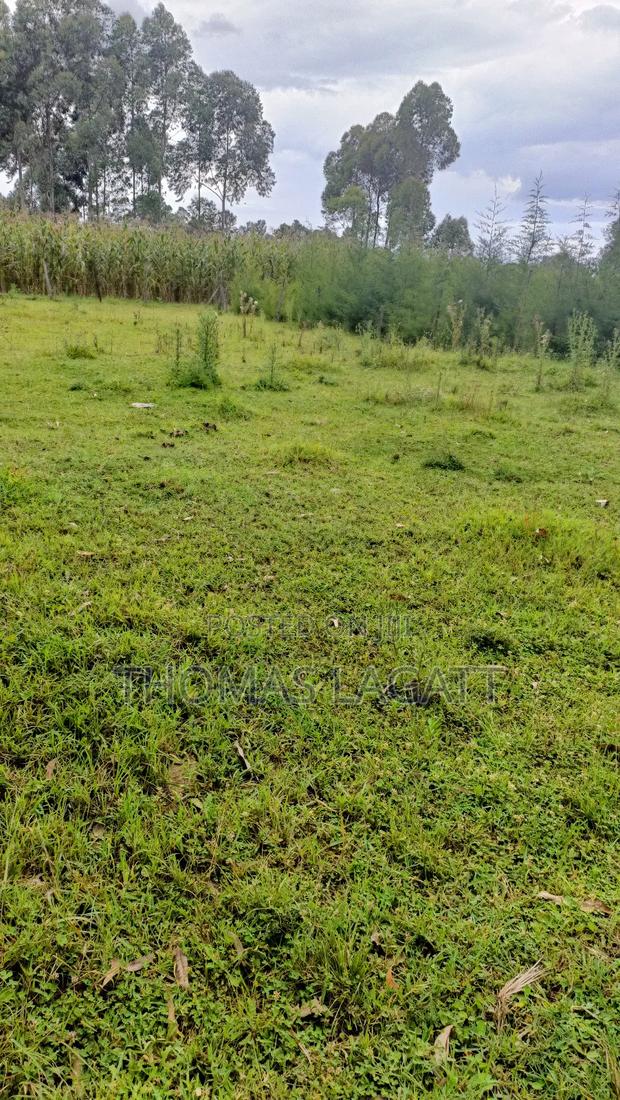 Eldoret Ngeria 1⁄8 Acre Plot on a Sale - thumbnail 3