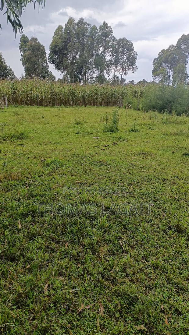 Eldoret Ngeria 1⁄8 Acre Plot on a Sale - thumbnail 4