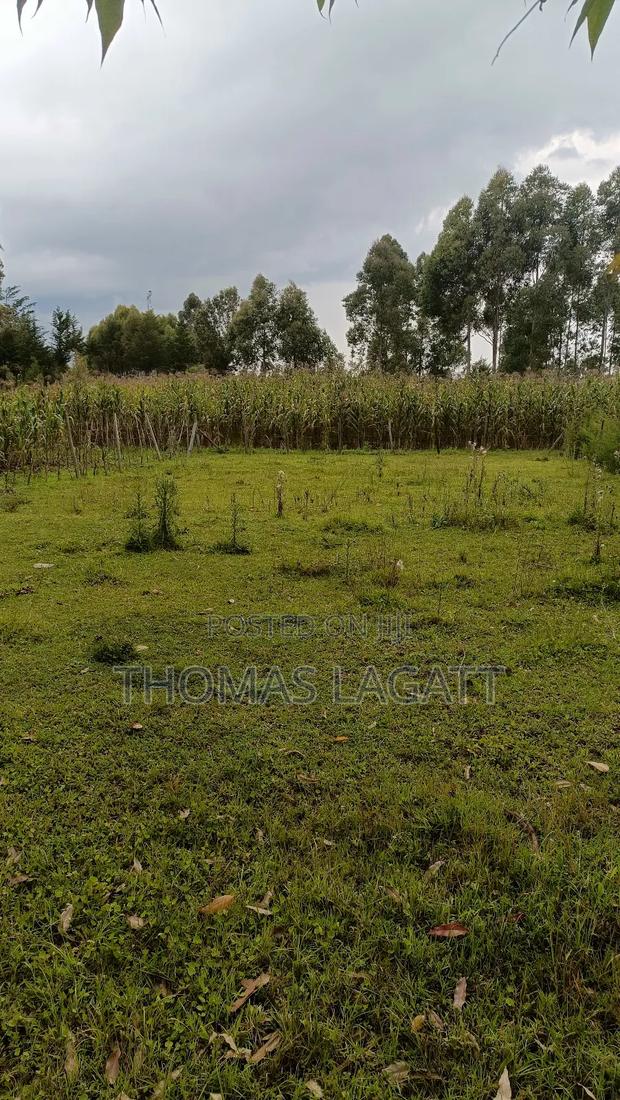 Eldoret Ngeria 1⁄8 Acre Plot on a Sale - thumbnail 5