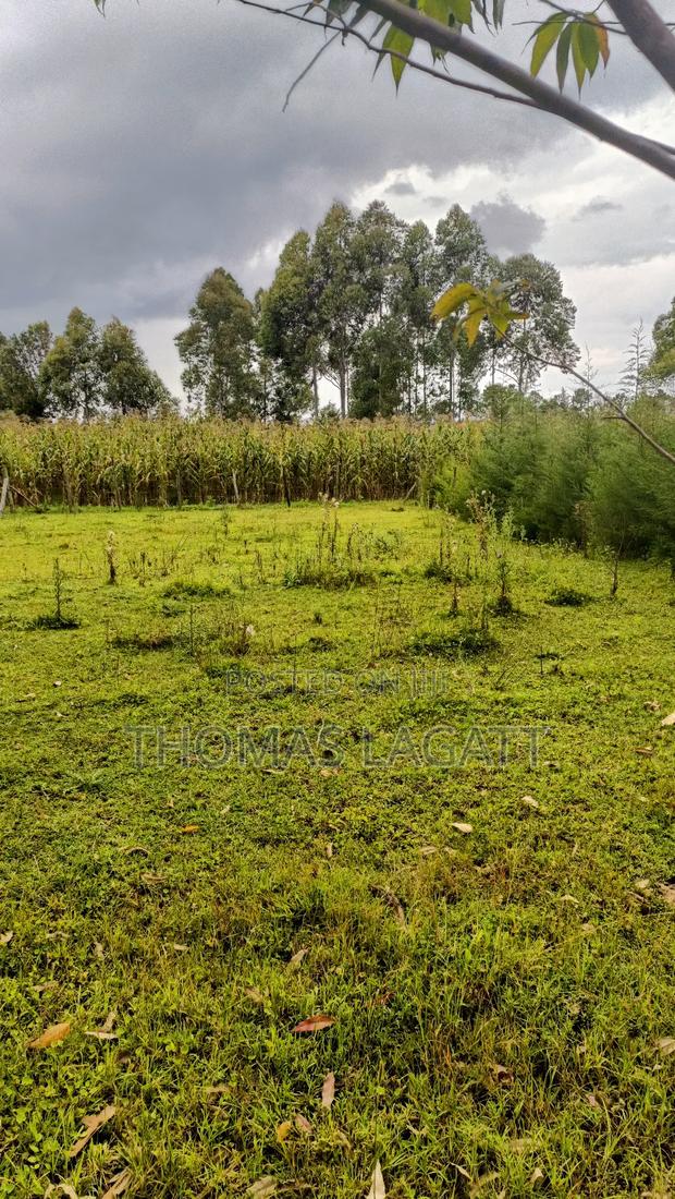 Eldoret Ngeria 1⁄8 Acre Plot on a Sale - thumbnail 6
