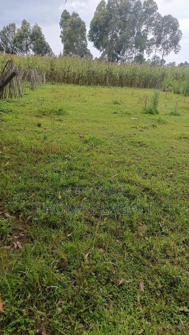 Eldoret Ngeria 1⁄8 Acre Plot on a Sale - thumbnail 7