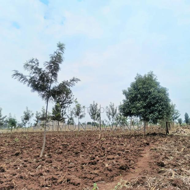 48*80 Residential Plot on Sale at Kiambu Anmer Estate at 1.9m