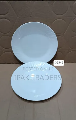 *9.87" Melamine Plates 6pcs