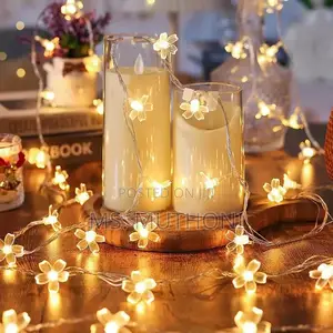 10 Meters Christmas Flower Shaped Led Lights Fairy With Remote*