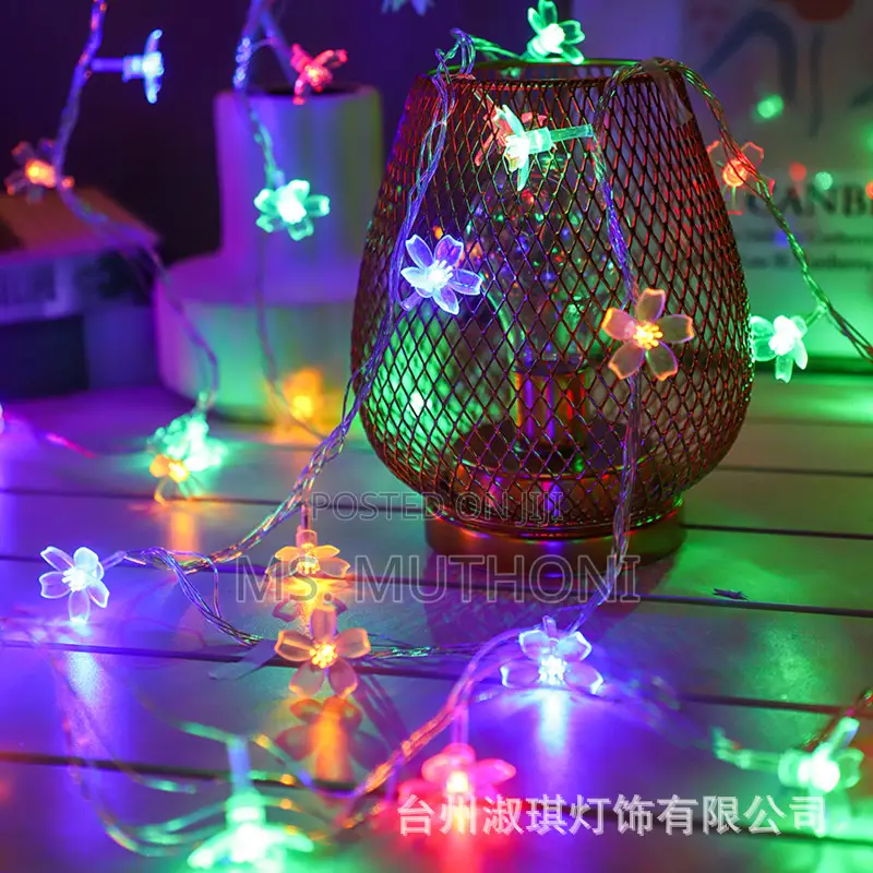10 Meters Christmas Flower Shaped Led Lights Fairy With Remote*