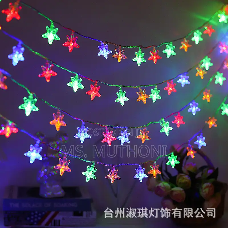 10 Meters Christmas Star Shaped Led Lights Fairy*