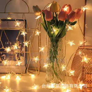 10 Meters Christmas Star Shaped Led Lights Fairy*