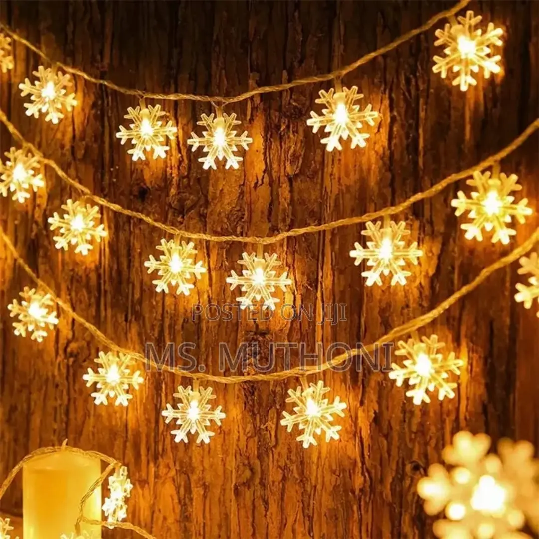 10 Meters Christmas Snowflake Led Lights Fairy With Remote*