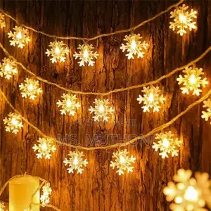 10 Meters Christmas Snowflake Led Lights Fairy With Remote*