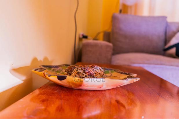 1 Bedroom BNB in Kisumu Next to Kisumu Polytechnic - thumbnail 8