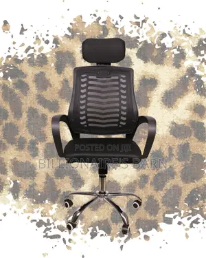 Plush Secretarial Mesh Chair | Nylon Castors