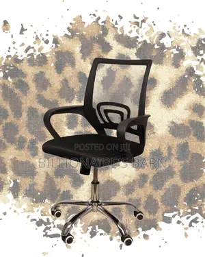 Secretarial Mesh Office Chair (Pro-Grade) — Price Drop Today