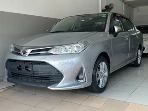 Toyota Axio 2018 Silver