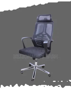 Ergonomic High Back Mesh Office Chair | Headrest Support