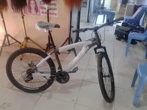 Premier Heavy Duty Size 26 Bike With Gears