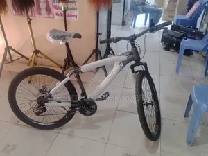 Premier Heavy Duty Size 26 Bike With Gears