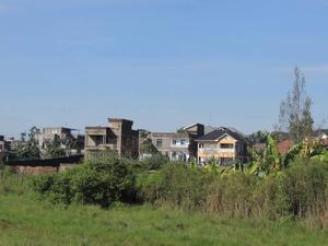 Mangu Plots - thumbnail 2