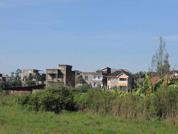 Mangu Plots - main view