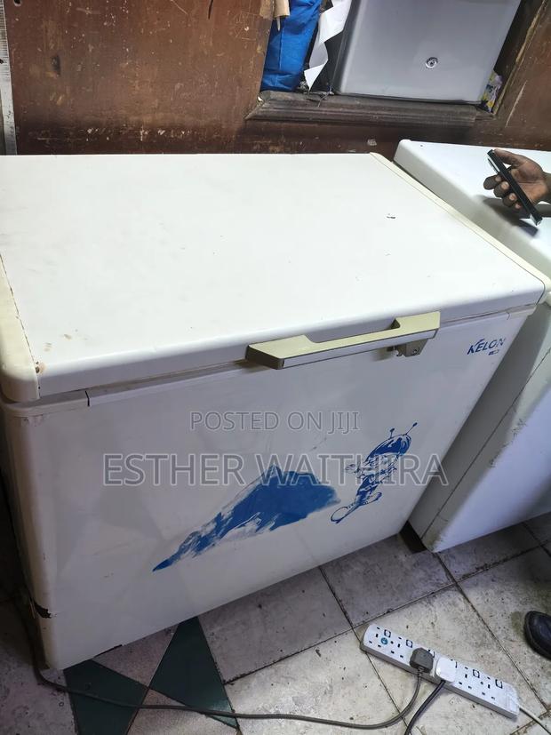 Milk/Meat Chest Freezer on Sale