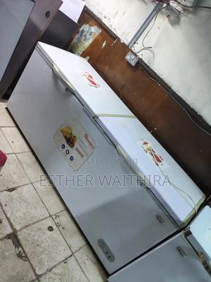 Commercial Size Double Doors Deep Freezer on Sale - thumbnail 2