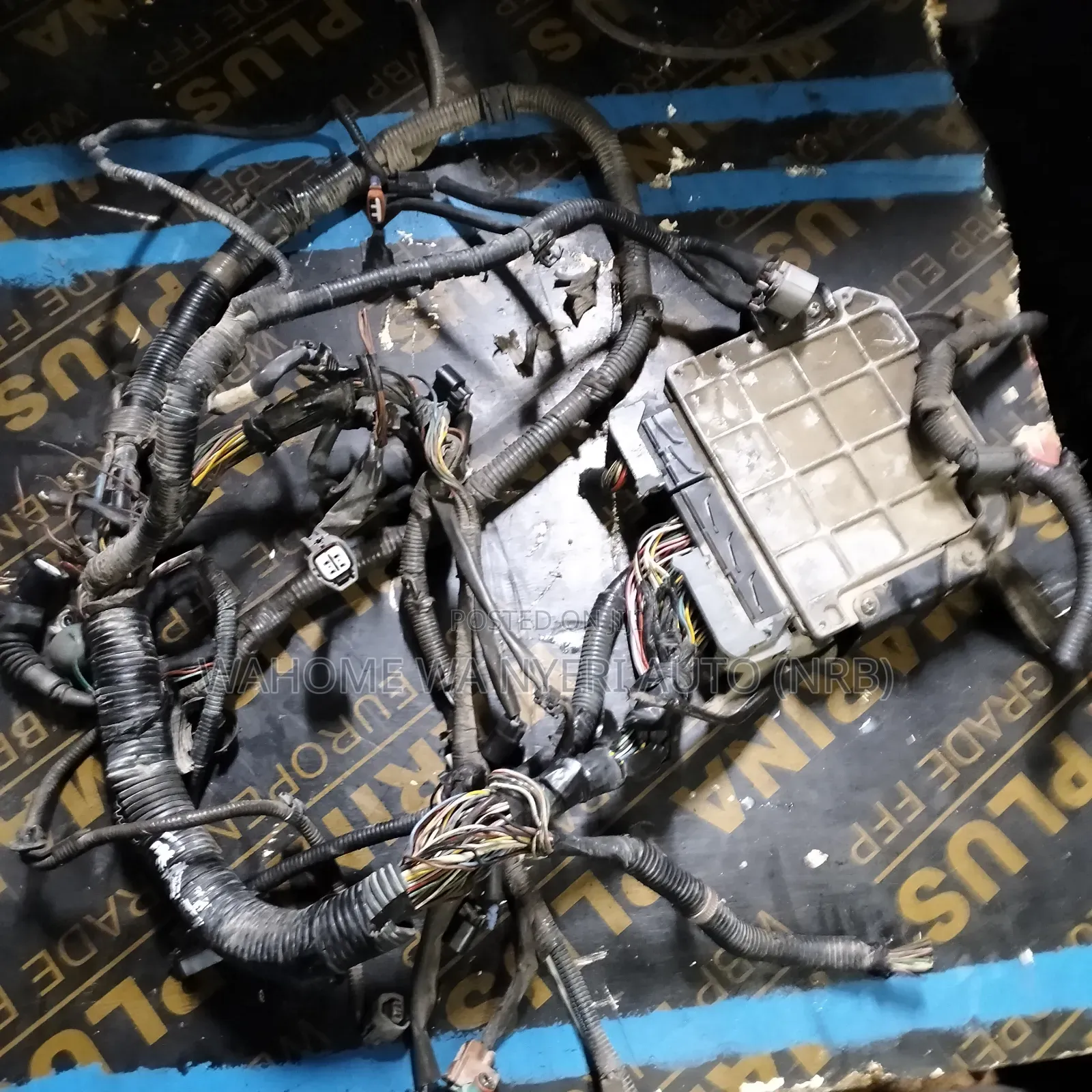 Complete Engine Harness 2az ,Vanguard