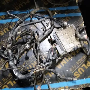 Complete Engine Harness 2az ,Vanguard