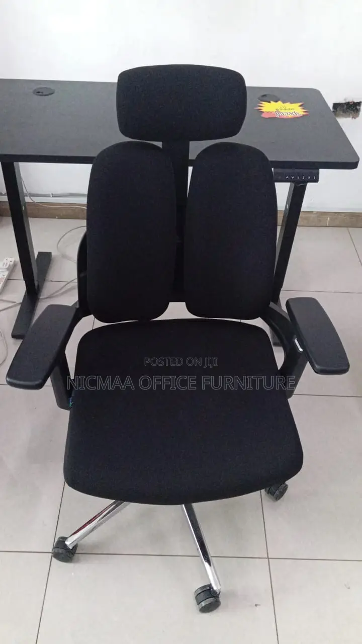 Dual-Back Ergonomic Modern Chair