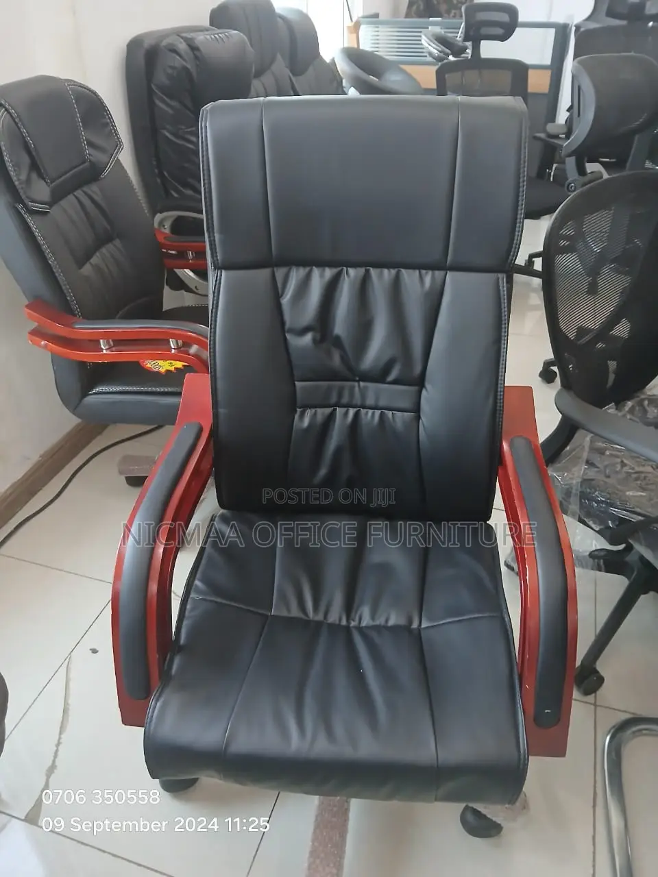 Executive Premium Comfort Style Bliss Chair
