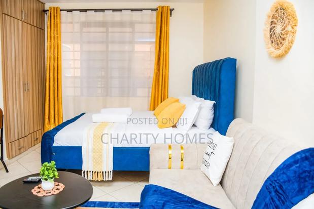 Furnished 1bdrm Bedsitter in Attic Place, South B for rent - main view