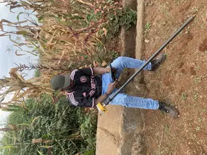 Land Surveyor