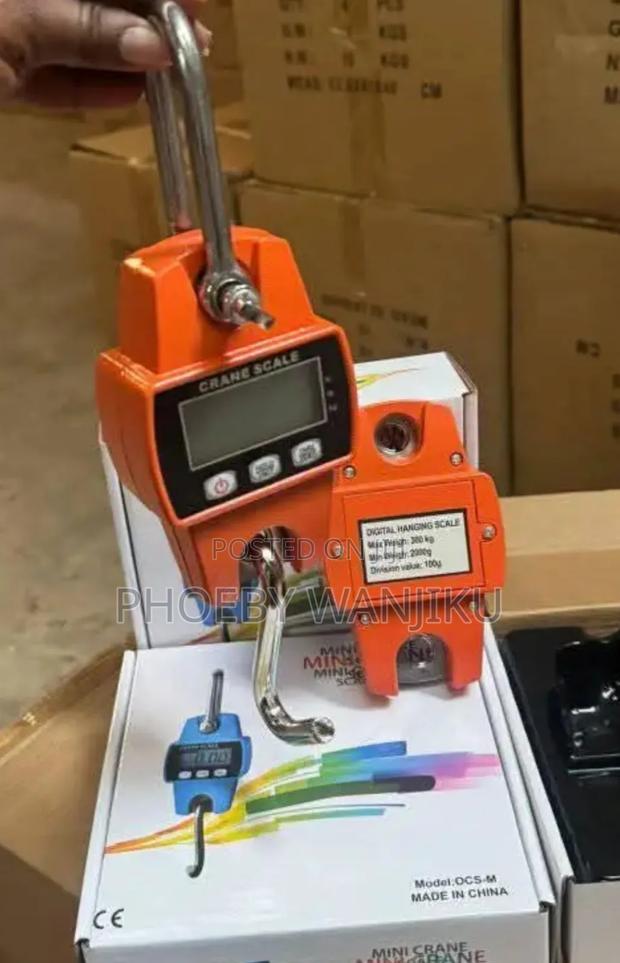 300kgs Digital Mini Crane Scale/Crane Scale Hanging - main view