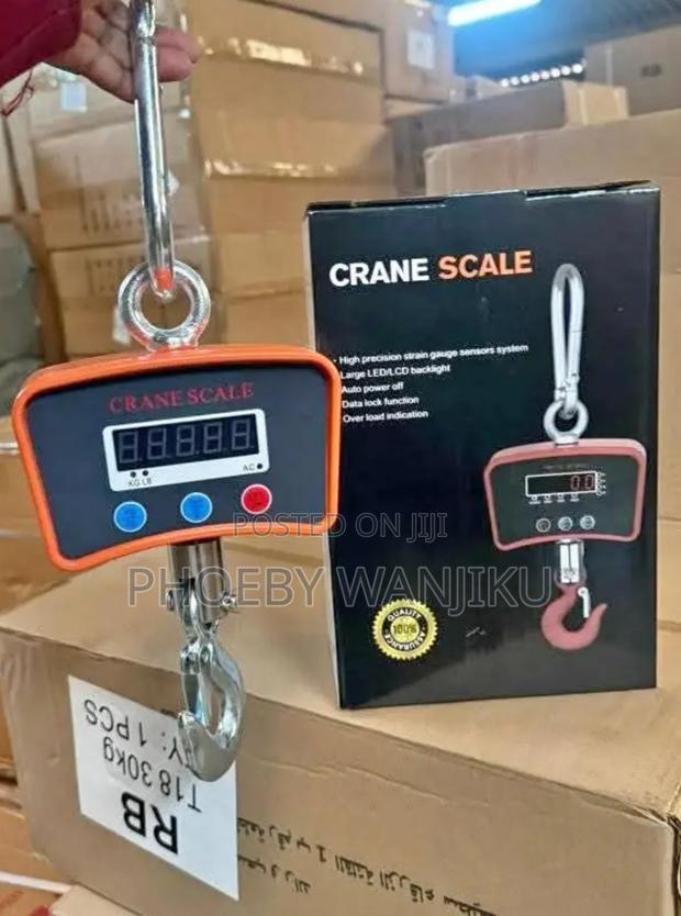 Heavy Duty Digital Scale/Crane Scale 500kg