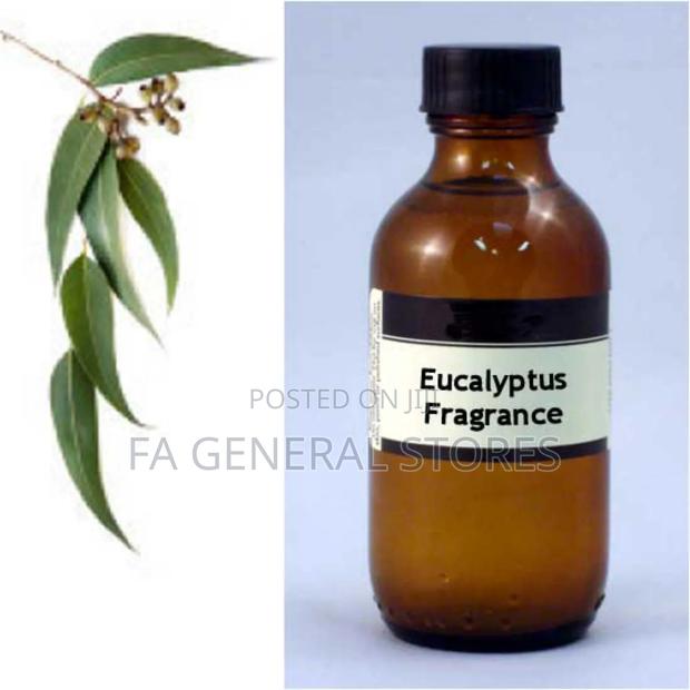 Eucalyptus Fragrance - main view