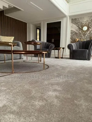 Modern Wall to Wall Carpets for Bedroom Lounge 