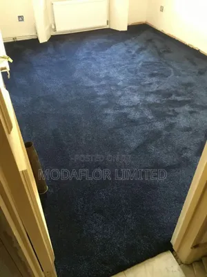 Soft Wall to Wall Carpet for Homes Offices – Premium Quality
