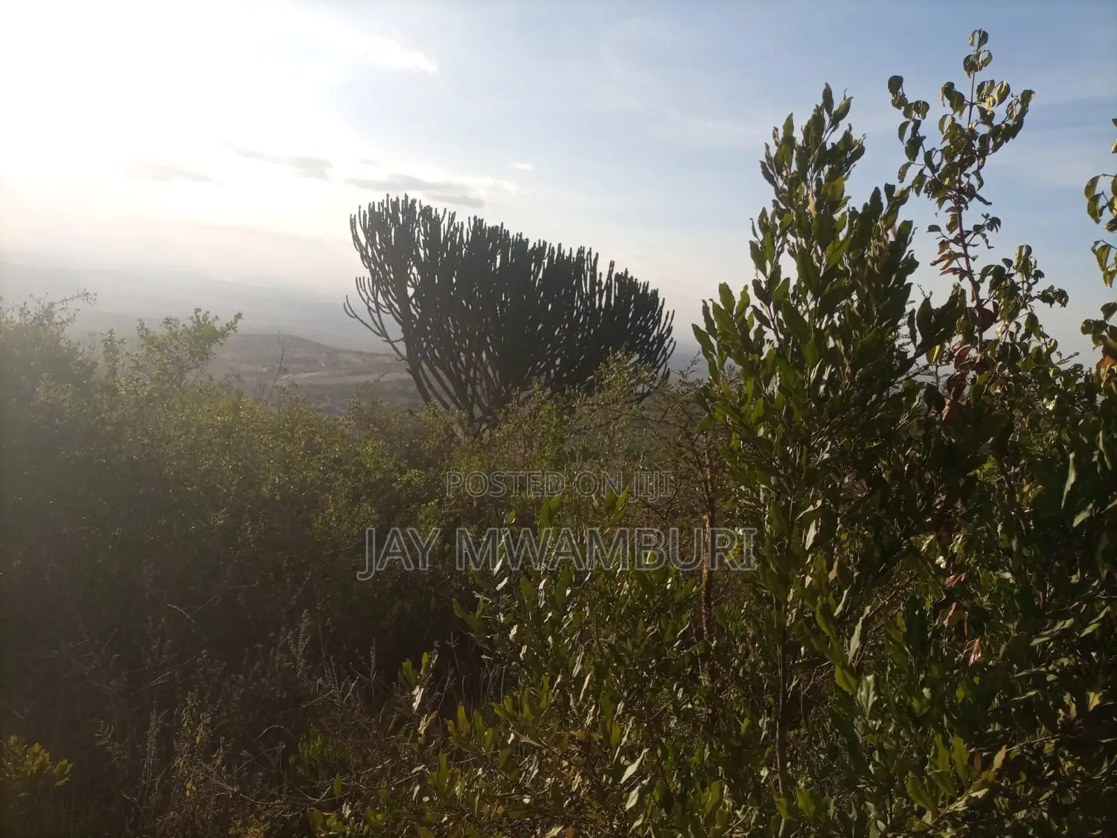 1 1/2 Acre Land Mua Hills