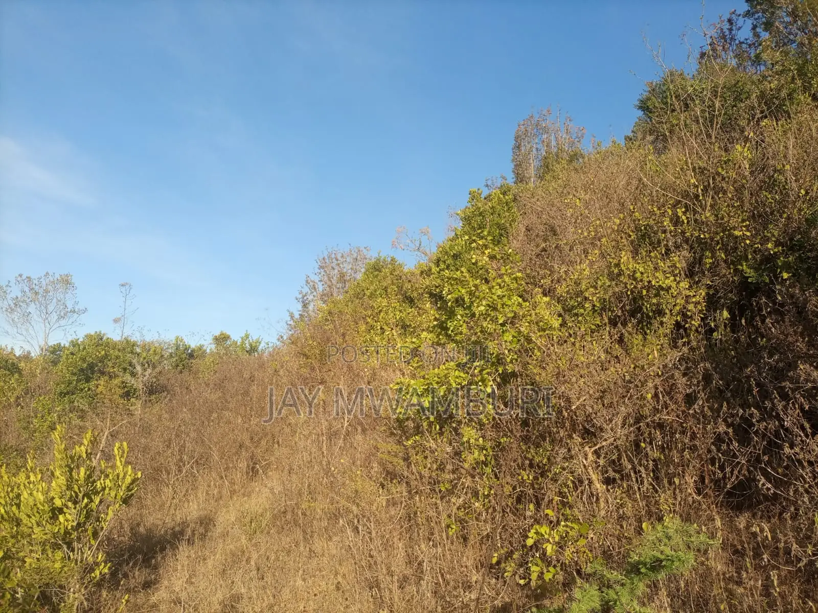 1 1/2 Acre Land Mua Hills
