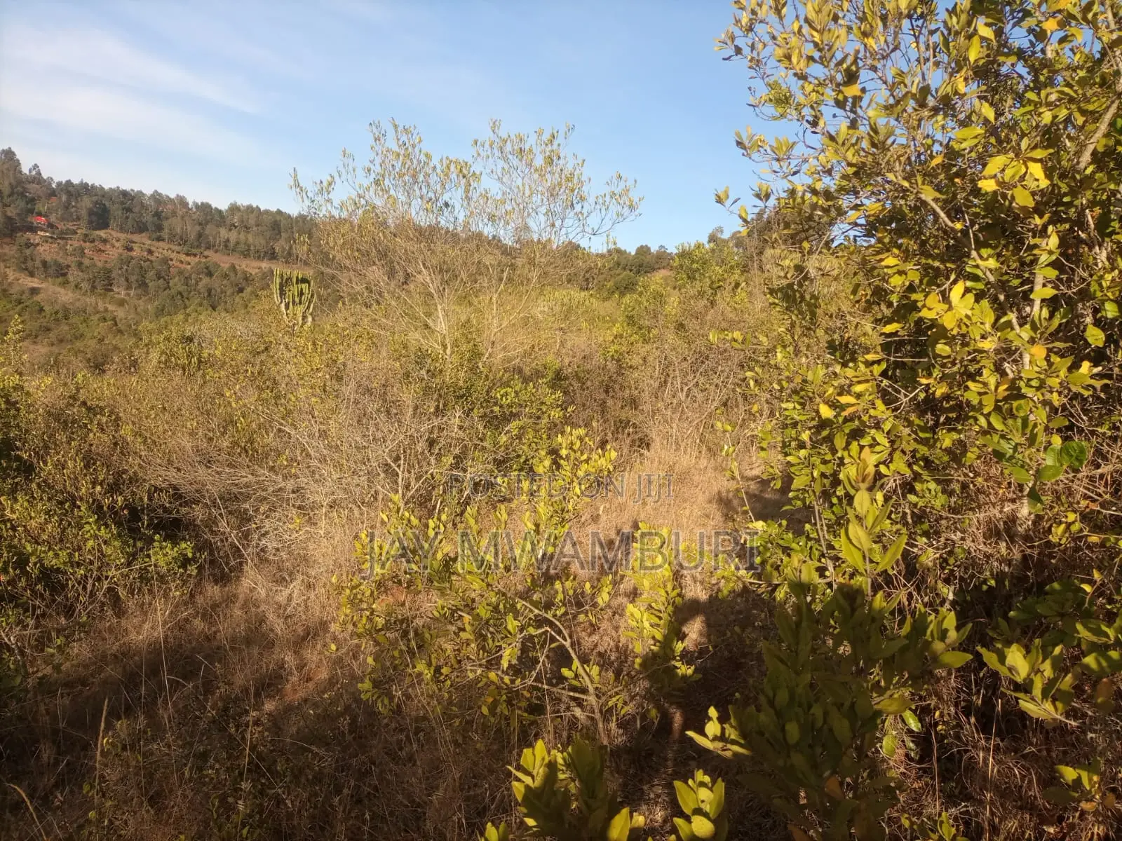 1 1/2 Acre Land Mua Hills
