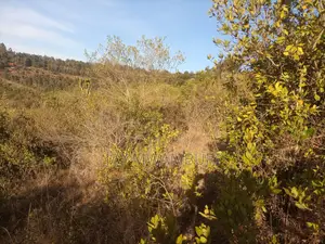1 1/2 Acre Land Mua Hills