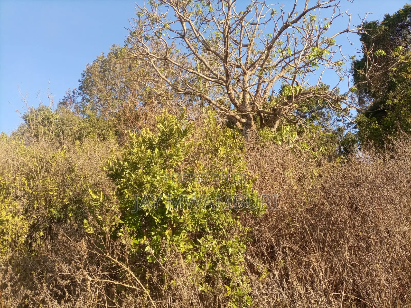 1 1/2 Acre Land Mua Hills