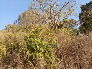 1 1/2 Acre Land Mua Hills
