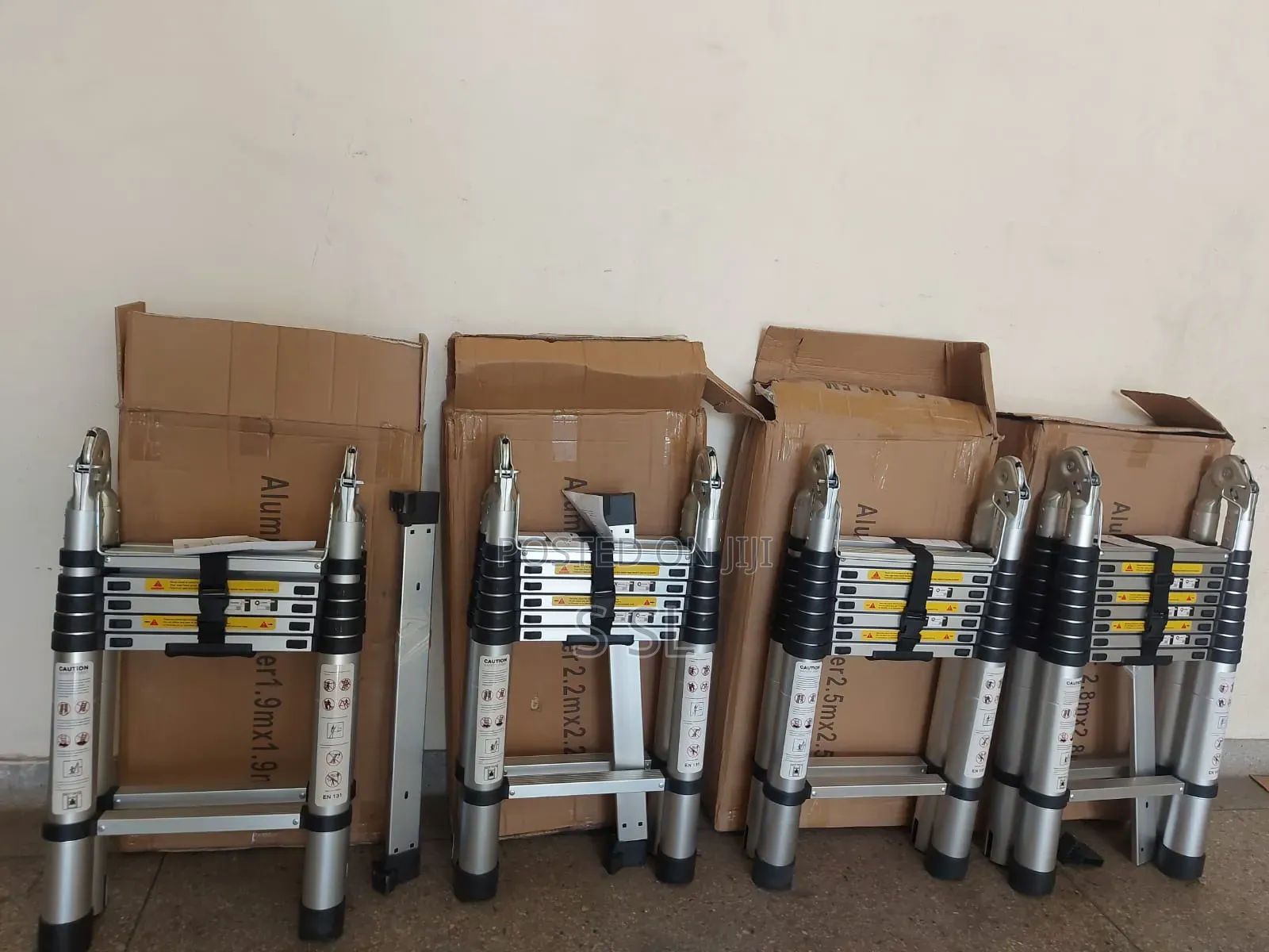 Dual Telescopic Ladder